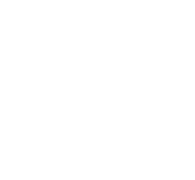 Braschi