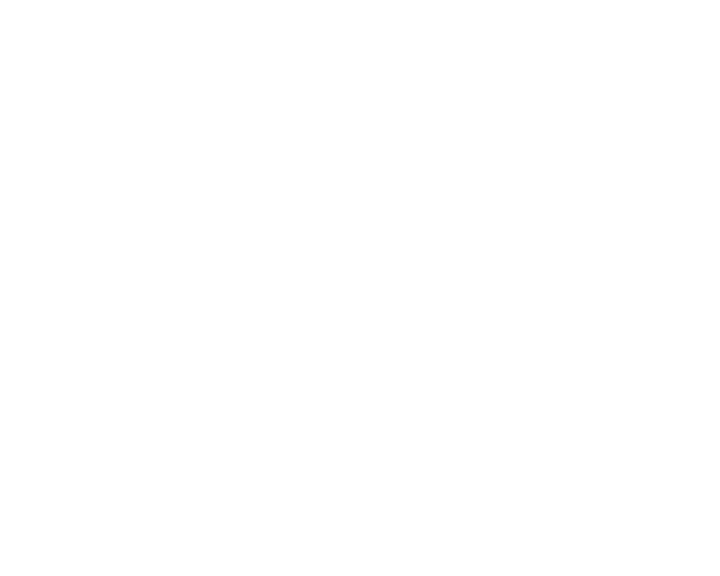 Fabi